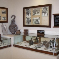 National Museum of Underwater Archeology - Cedam